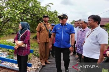 Legislator Kapuas apresiasi pembangunan jembatan penghubung di Panamas