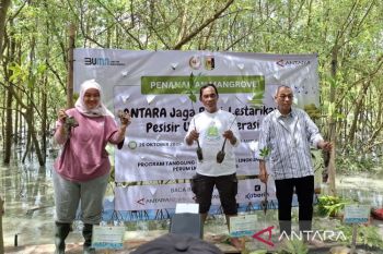 LKBN ANTARA Hidupkan Kembali Pesisir Lampung Timur Lewat Rehabilitasi Mangrove
