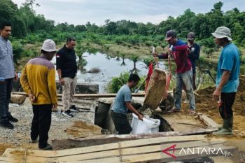 Pemkab Nagan Raya bangun jembatan darurat akibat terjangan banjir