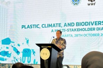 Indonesia to block coal ships in Mahakam to protect endangered dolphin