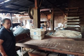 Harga relatif stabil, perajin tahu tempe Lampung masih andalkan kedelai impor