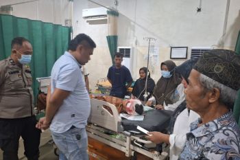 BKSDA Jambi telusuri beruang, setelah serang petani di Muaro Jambi&nbsp;