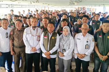 1.380 anggota Brigade Pangan siap menggarap 62 ribu ha lahan persawahan di Sidrap