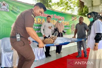 IRT terpidana zina pingsan usai 100 hukuman cambuk di Aceh Barat