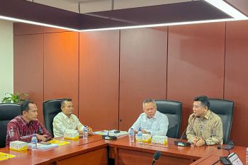 Pemkab-Sigi minta dukungan Bappenas kembangkan potensi daerah