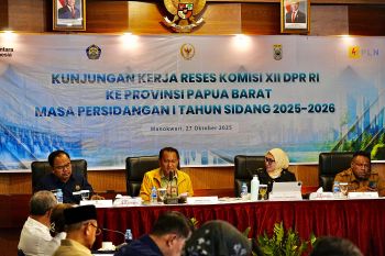 PT PLN dan DPR RI kolaborasi mempercepat pemerataan energi di Papua Barat