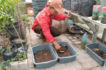 Maggot Si Belatung Pendukung Ketahanan Pangan Mandiri Berbasis Pekarangan