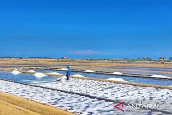 Pemprov bantu petambak garam Bangkalan manfaatkan teknologi geomembran