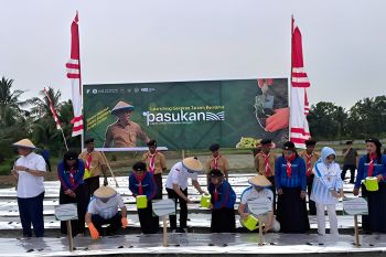 Ditjenpas: 27 kluster ketahanan pangan terbentuk di UPT se-Sulteng