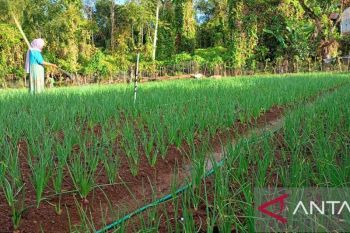 Jejak literasi keuangan dari pegunungan hingga kepulauan di wilayah Sulsel
