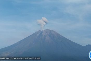 Gunung Semeru delapan kali erupsi dengan tinggi letusan 800 meter