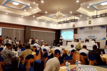 Pemprov Papua memperkuat arah kebijakan pengawasan di daerah