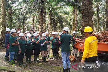 Astra Agro tanam kesadaran lingkungan lewat muatan lokal sekolah binaan