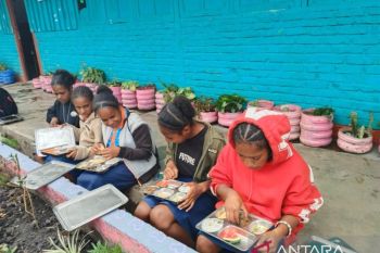 SPPG Papeg mendorong sektor pertanian Jayawijaya penuhi kebutuhan MBG anak