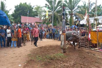 Disbudpar Kotim dukung Tiwah dikemas untuk menarik wisatawan