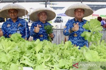 Kakanwil Ditjenpas Kalsel dan Kalapas Banjarmasin panen 180 pot selada