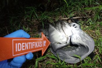 Polres Lamsel selidiki kasus penemuan mayat bayi di perkebunan karet