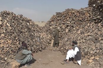 Kesulitan ekonomi perberat usaha warga Afganistan hadapi musim dingin