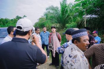 Pemkab Dharmasraya alokasi Rp6,6 miliar perbaikan jalan