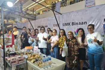 PLN dukung perekonomian lokal dan Inklusi