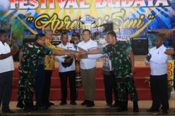 Pemprov Papua Selatan mendorong pengembangan seni budaya lokal