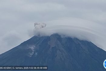 Gunung Semeru delapan kali erupsi setinggi 800 meter