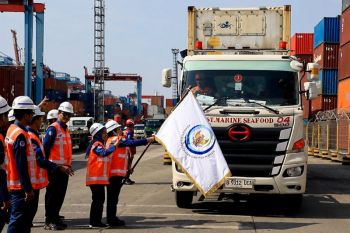 Indonesia drafts Cs-137-free certification to boost shrimp exports