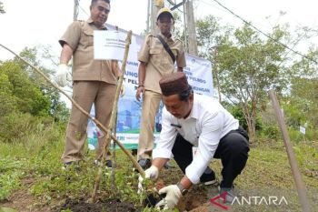 Pangkalpinang kirim sampel manggis klabang terancam punah ke BRIN
