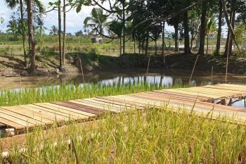 Kabupaten Banyuasin terima bantuan 101 ribu ton benih padi