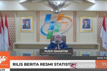BPS catat Papua Pegunungan alami deflasi terdalam pada Oktober 2025