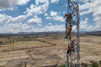 PLN jaga keandalan listrik Sumbawa lewat pemeliharaan SUTT 150 kV