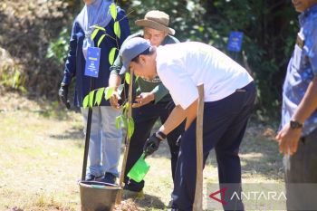 Bandara Internasional Sultan Syarif Kasim II Tanam 2.000 Pohon di Tahura Sultan Syarif Kasim