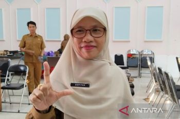 Dinas Perpustakaan Pulang Pisau kembangkan inovasi Desa Literasi