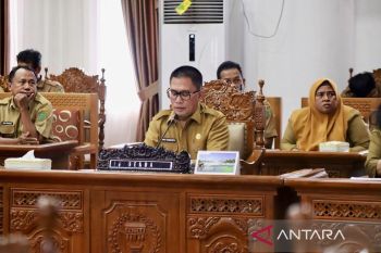 Sekda Pulang Pisau jabarkan kondisi keuangan daerah, simak penjelasannya