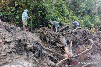 Search underway for 23 missing after flash flood in Highland Papua