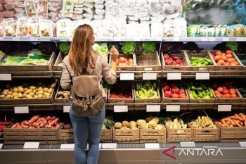 Panduan Pola Makan Cerdas untuk Tetap Bugar di Cuaca Ekstrem