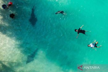 Medsos referensi utama  informasi liburan