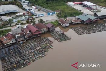 Pemprov Kaltim andalkan pasokan protein MBG lewat Kampung Perikanan