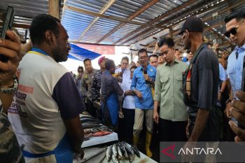 BPS mencatat Ekonomi di Papua tumbuh 4,21 persen pada Triwulan III 2025