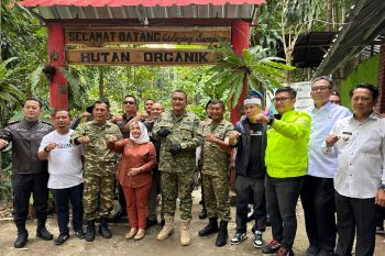 Ketua DPRD Bogor sebut gerakan penghijauan jadi investasi alam masa depan