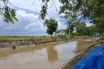 BBWS Mesuji Sekampung perbaiki irigasi untuk antisipasi curah hujan tinggi