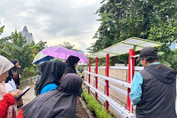 Pertamina Patra RJBB gelar Pelatihan Urban Farming Hidroponik di Cawang