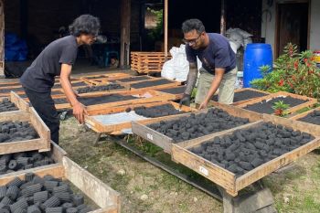 PLN Sumut sokong Kelompok Briket Siadari tingkatkan kemandirian UMKM