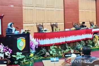 Fraksi NasDem DPRD Palangka Raya soroti penurunan belanja modal