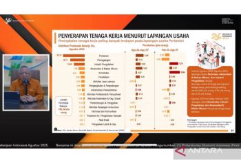 Agriculture, trade, and manufacturing drive job growth in Indonesia