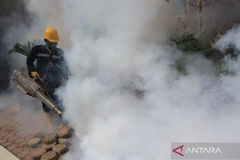 DBD di Manggarai Barat turun