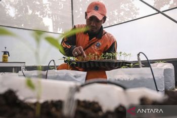 Pemkot Jaktim perkuat pangan lewat produk unggulan tiap kecamatan