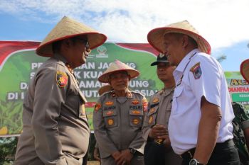 Dukung Asta Cita Presiden, Pemkot dan Polres Payakumbuh tanam jagung serentak