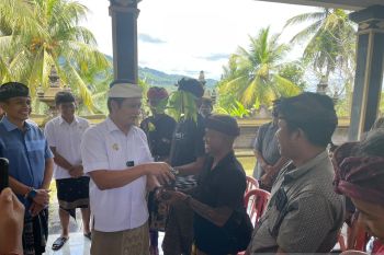 Pemkab  Jembrana membantu petani ratusan ribu bibit kakao