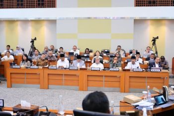 Wamen Ossysampaikan peran tata ruang berbasis 'Disaster Risk Reduction'